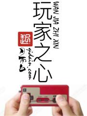 玩家之心中国店