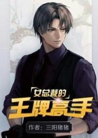女总裁的王牌高手 电影