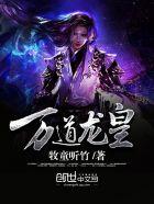 至尊龙帝陆鸣免费版