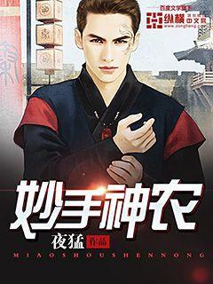妙手神农电视剧免费观看