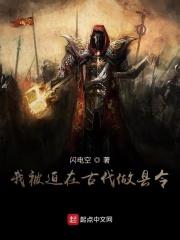 我被迫在古代做县令txt