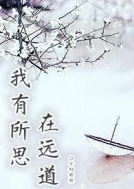 我有所思在远道免费阅读