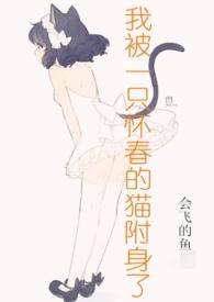 我被怀春的猫附身了txt