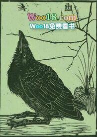 三十天空壳by菠萝熊