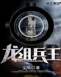 龙组兵王女主有几个