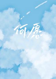 何愿乡村小城po