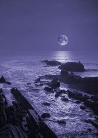 暗夜npglbg