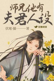 师兄他有夫君人设晋江