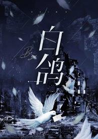 白鸽鱼图片