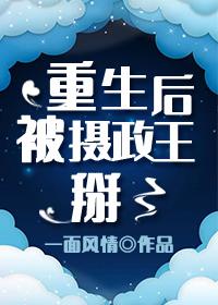 重生后被摄政王掰了番外