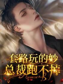 总裁跑不掉苏瑶秦墨