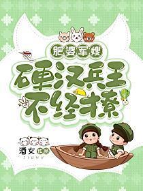 肥婆军嫂硬汉兵王不经撩电视剧